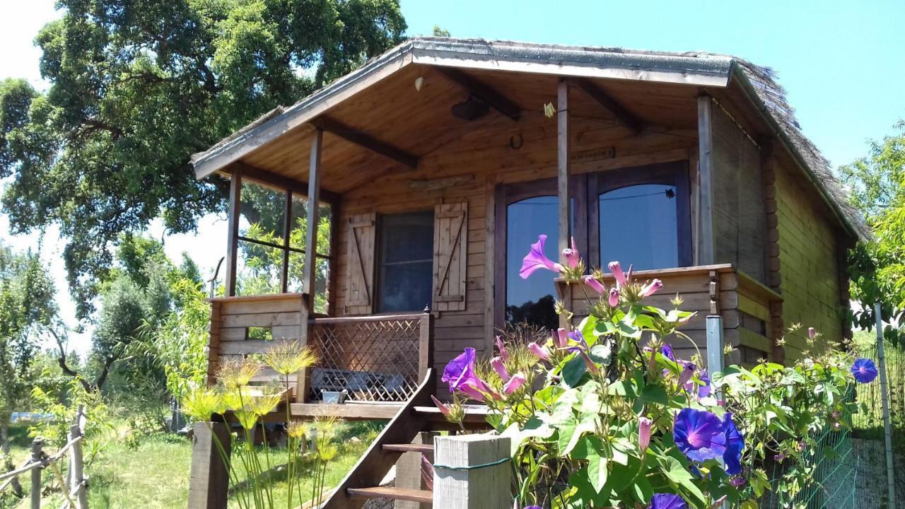 Casa Do Sobreiro 2 Bed and Breakfast Serra das Alhadas Buitenkant foto