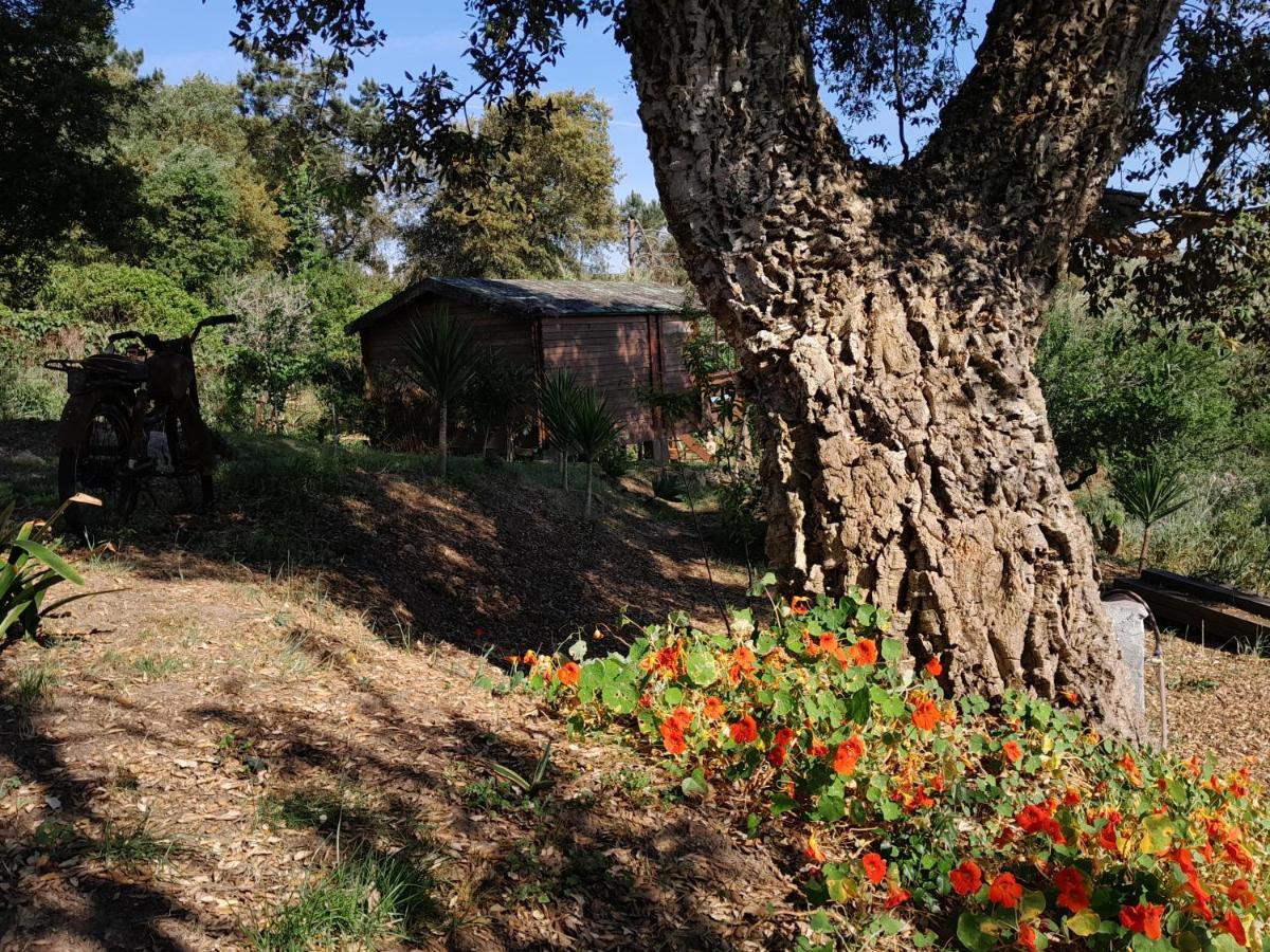 Casa Do Sobreiro 2 Bed and Breakfast Serra das Alhadas Buitenkant foto